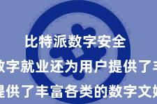 比特派数字安全  比特派数字就业还为用户提供了丰富各类的数字文娱就业