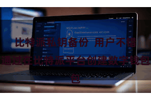 比特派私钥备份  用户不错通过在比特派平台创建数字钱包